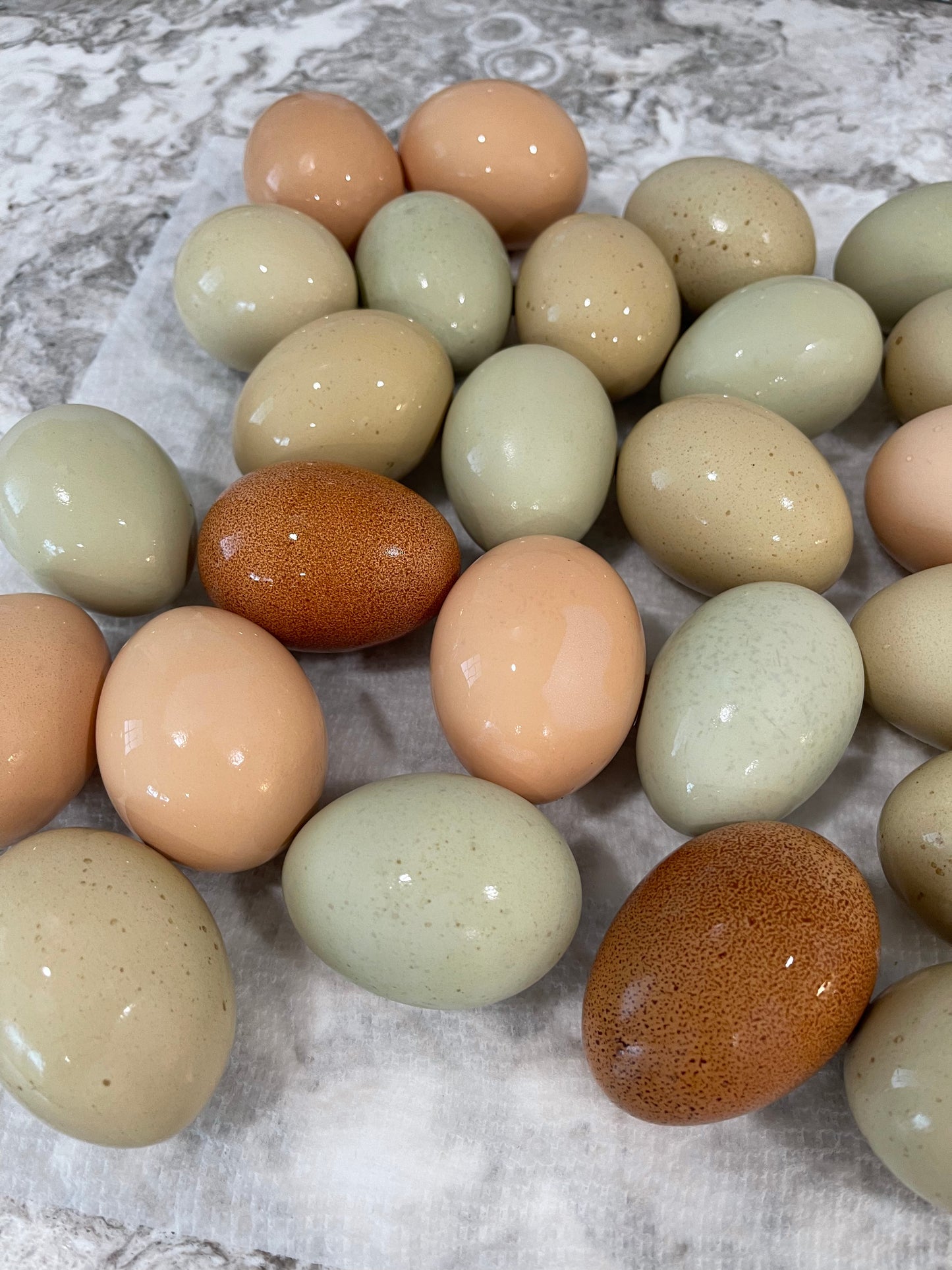 Farm Fresh Eggs
