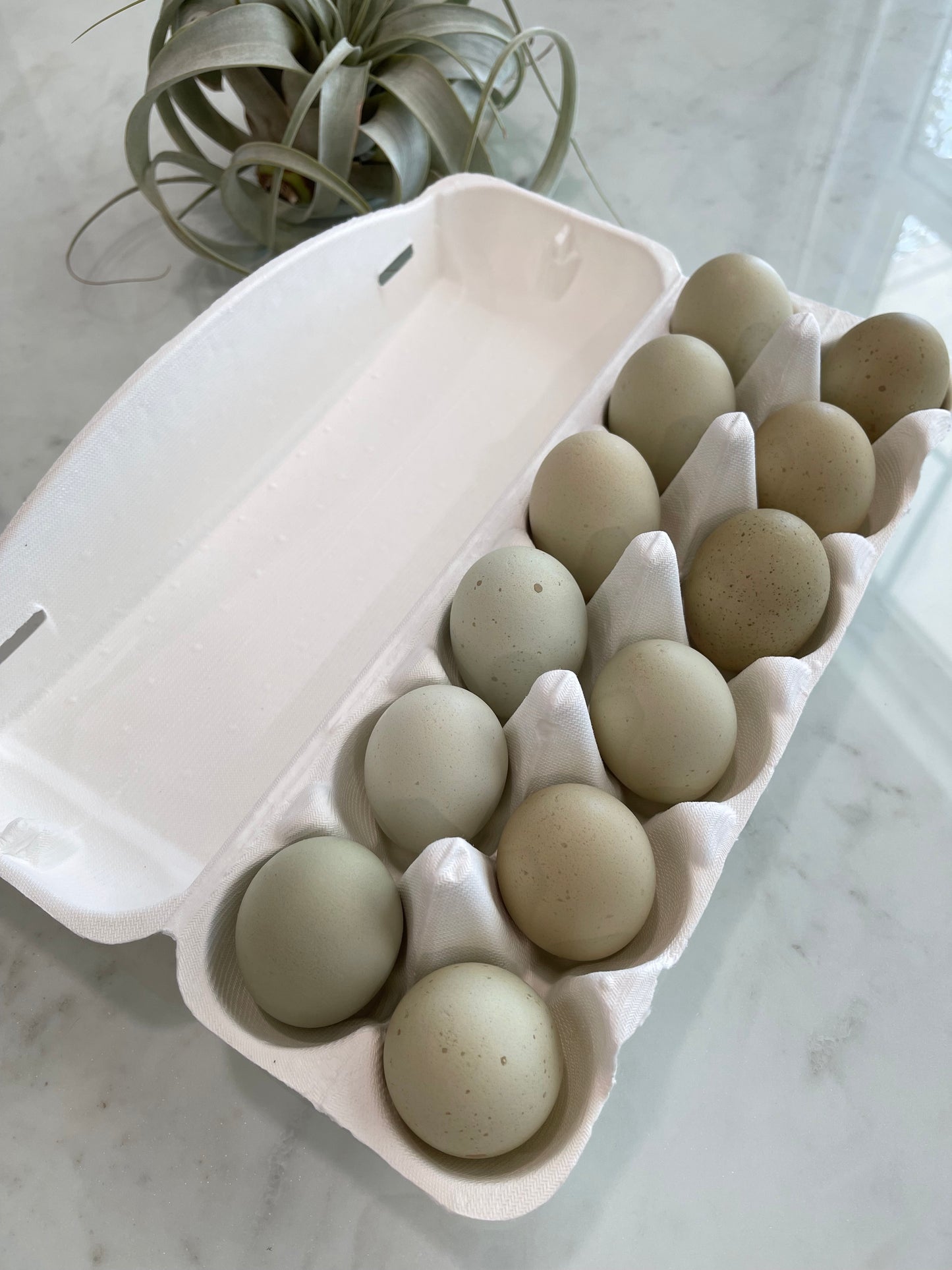 Farm Fresh Eggs