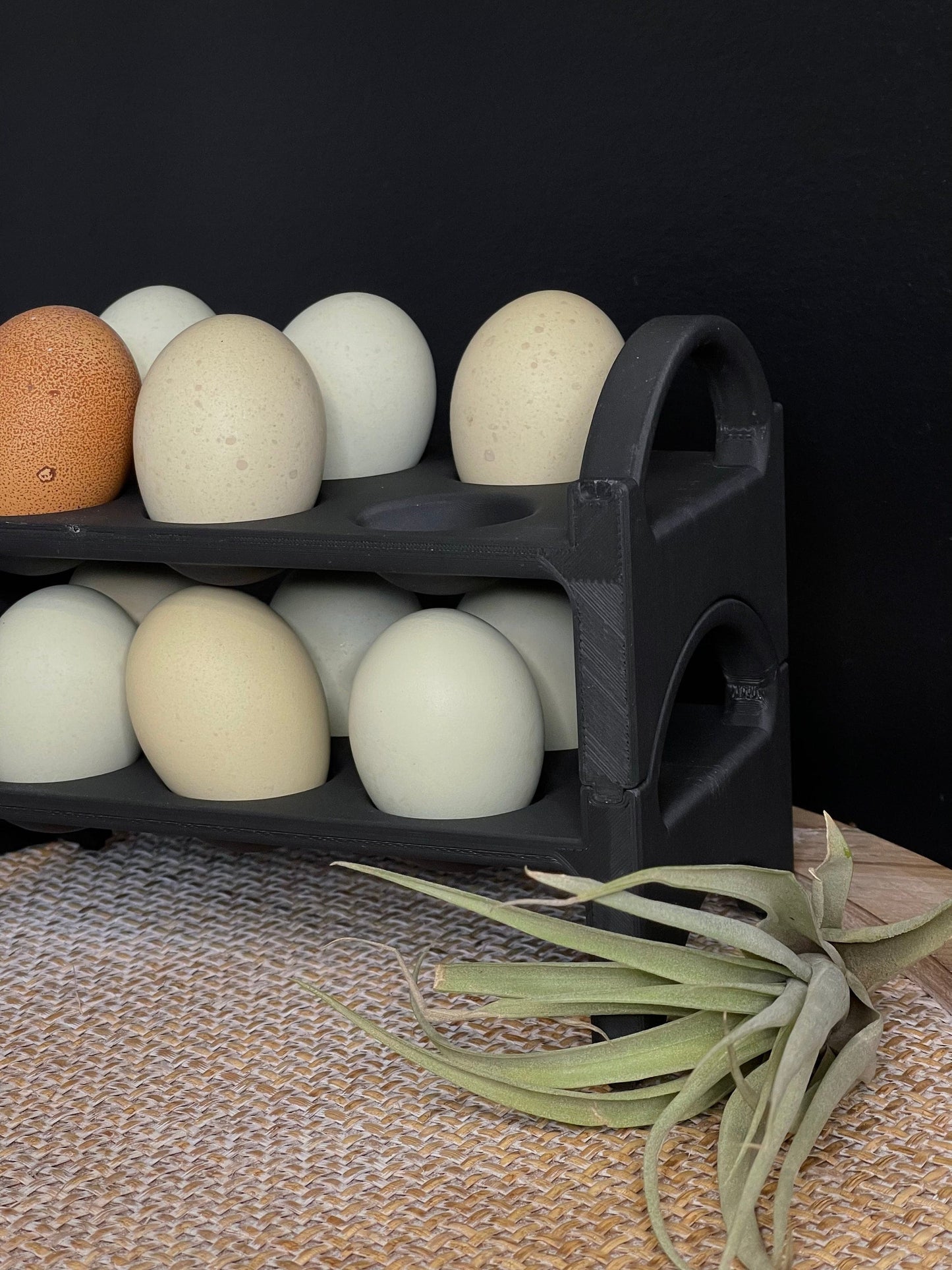 Stackable Egg Holder Countertop | Stackable Egg Tray | Farm Fresh Eggs | Chicken Egg Holder | Plant Based | Moody Black | Shatterproof