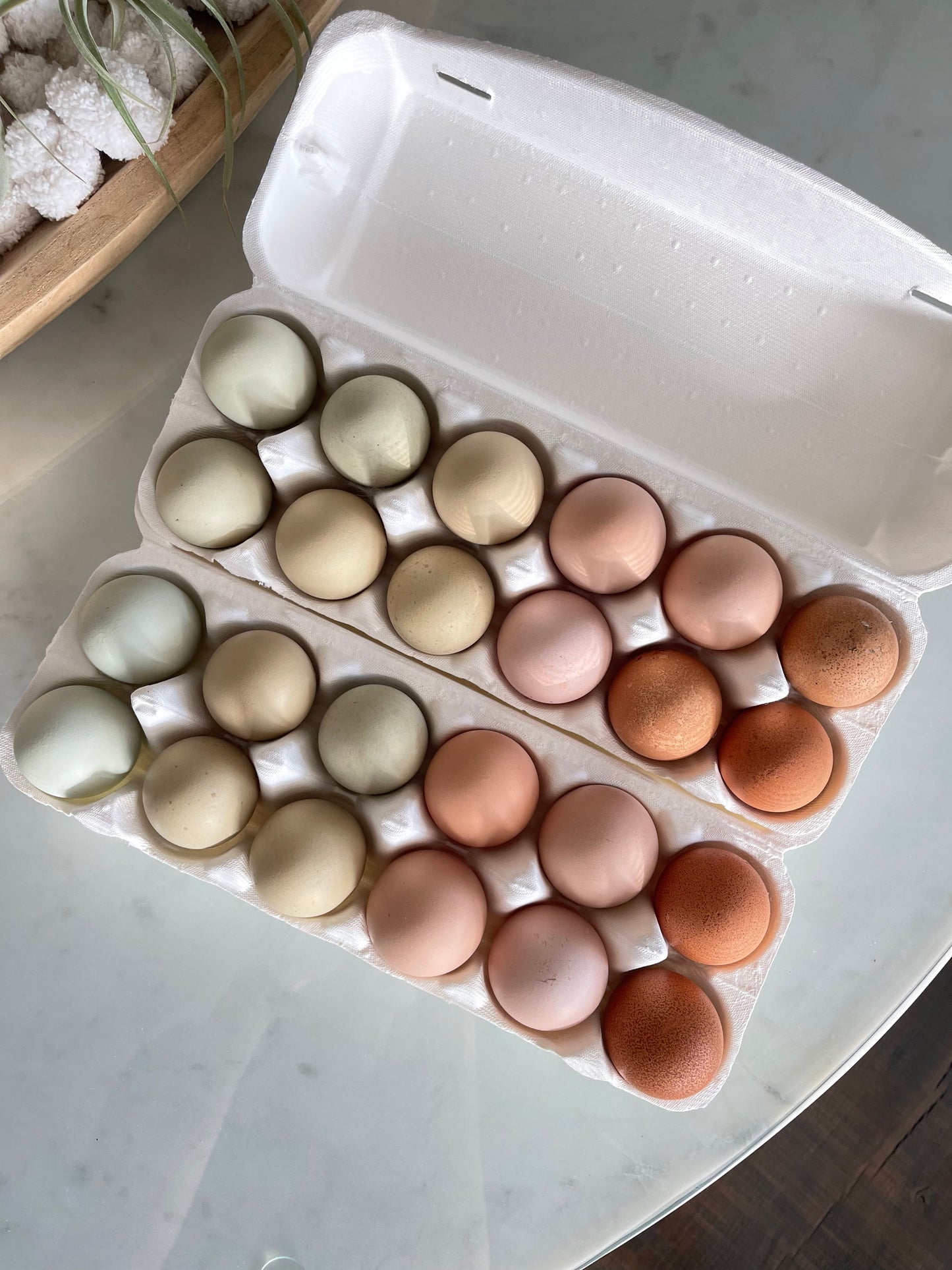 Farm Fresh Eggs