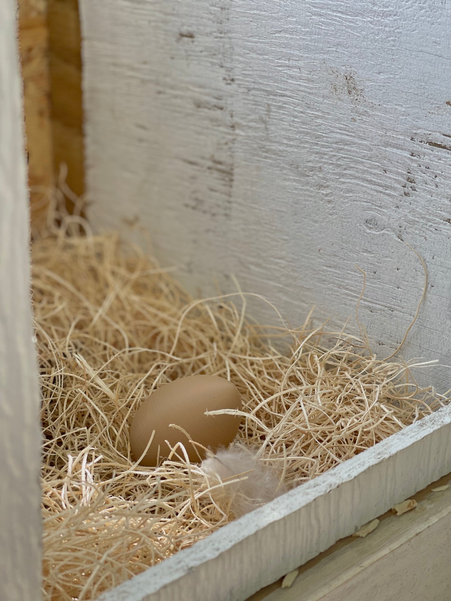 Nesting Box Fake Eggs