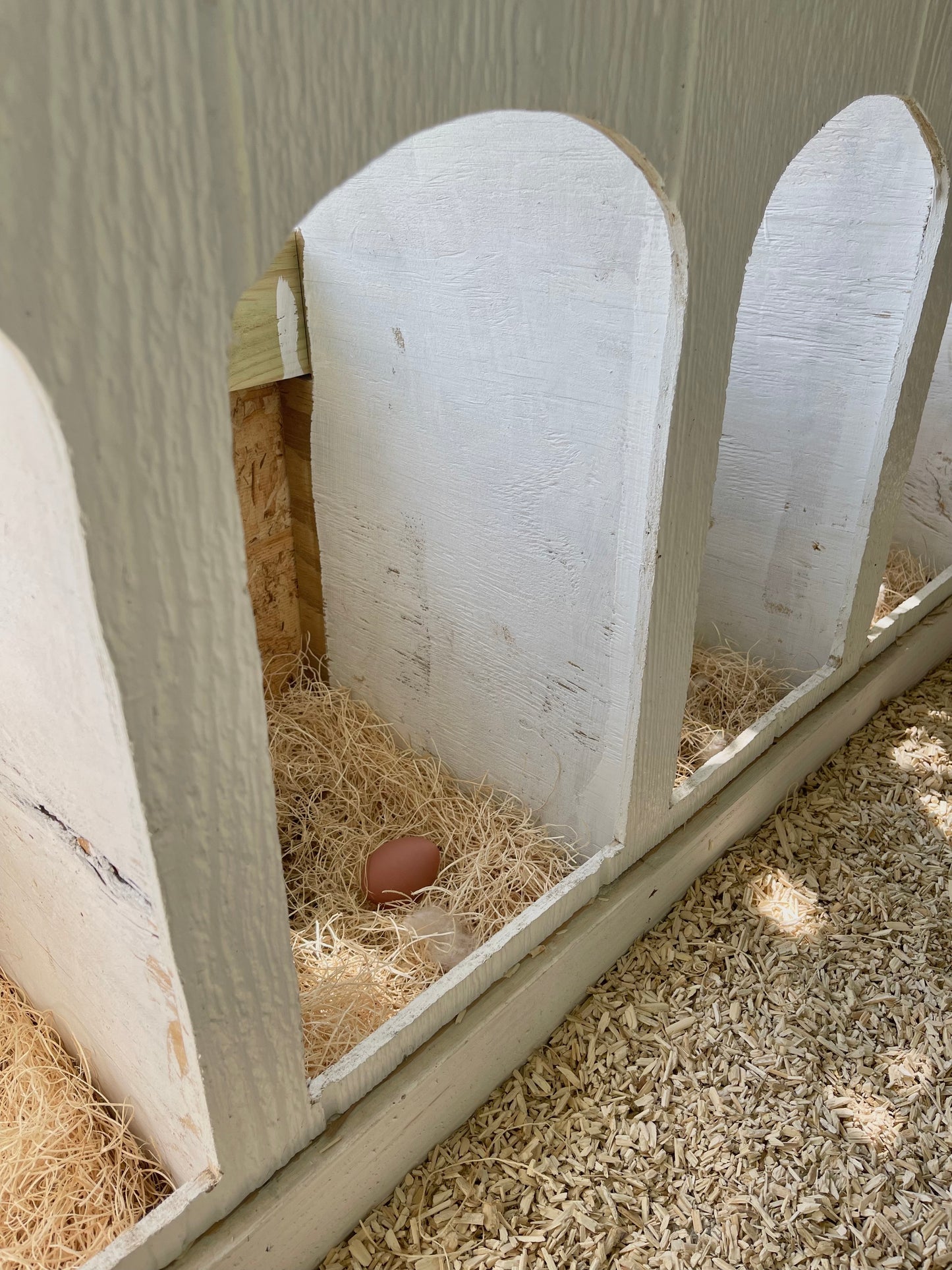 Nesting Box Fake Eggs