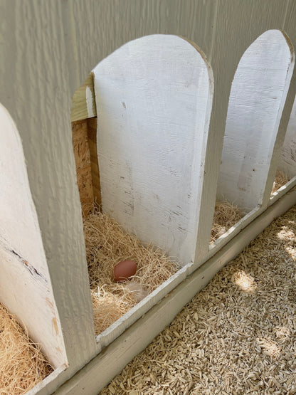 Nesting Box Fake Eggs