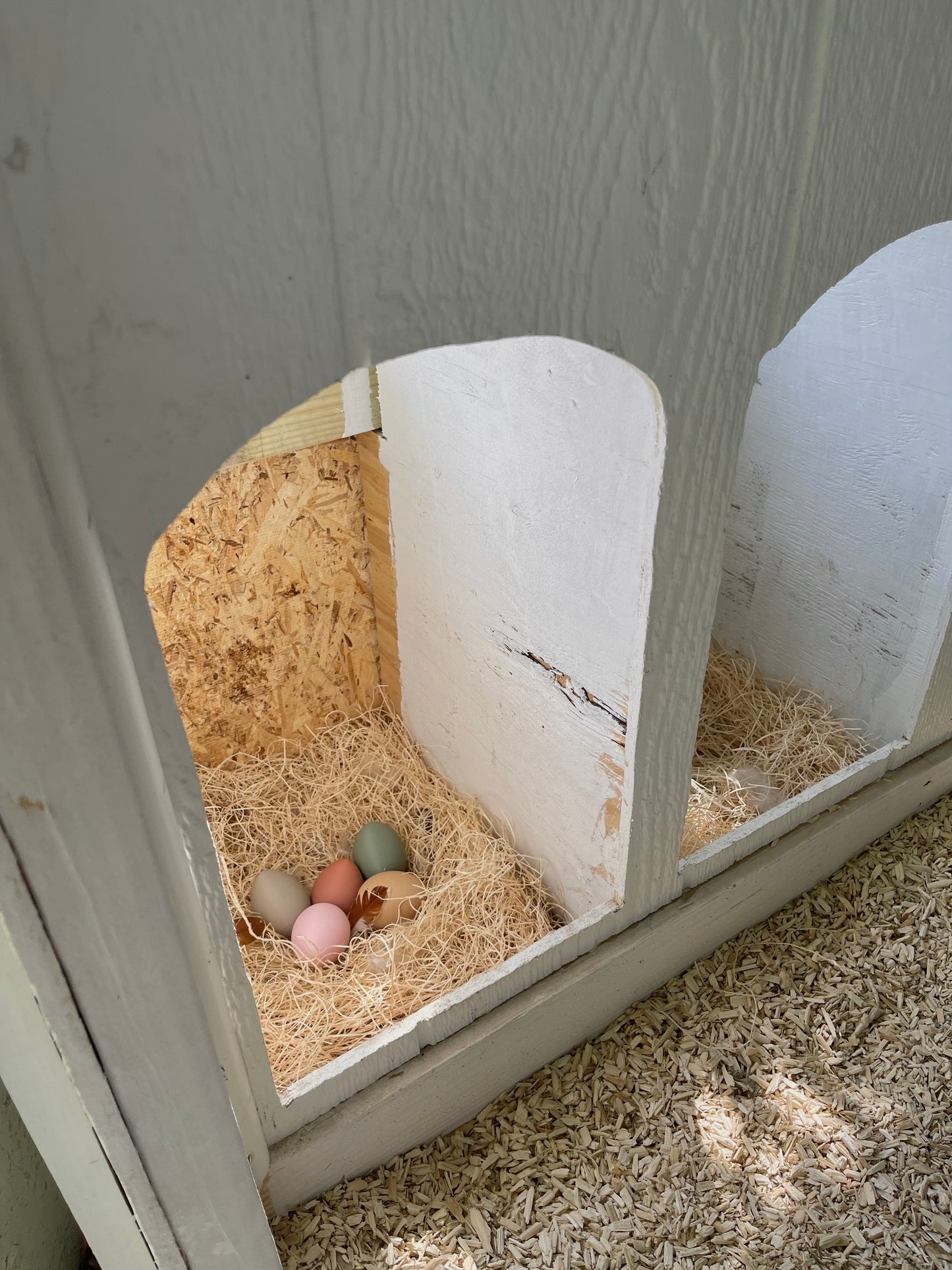 Nesting Box Fake Eggs