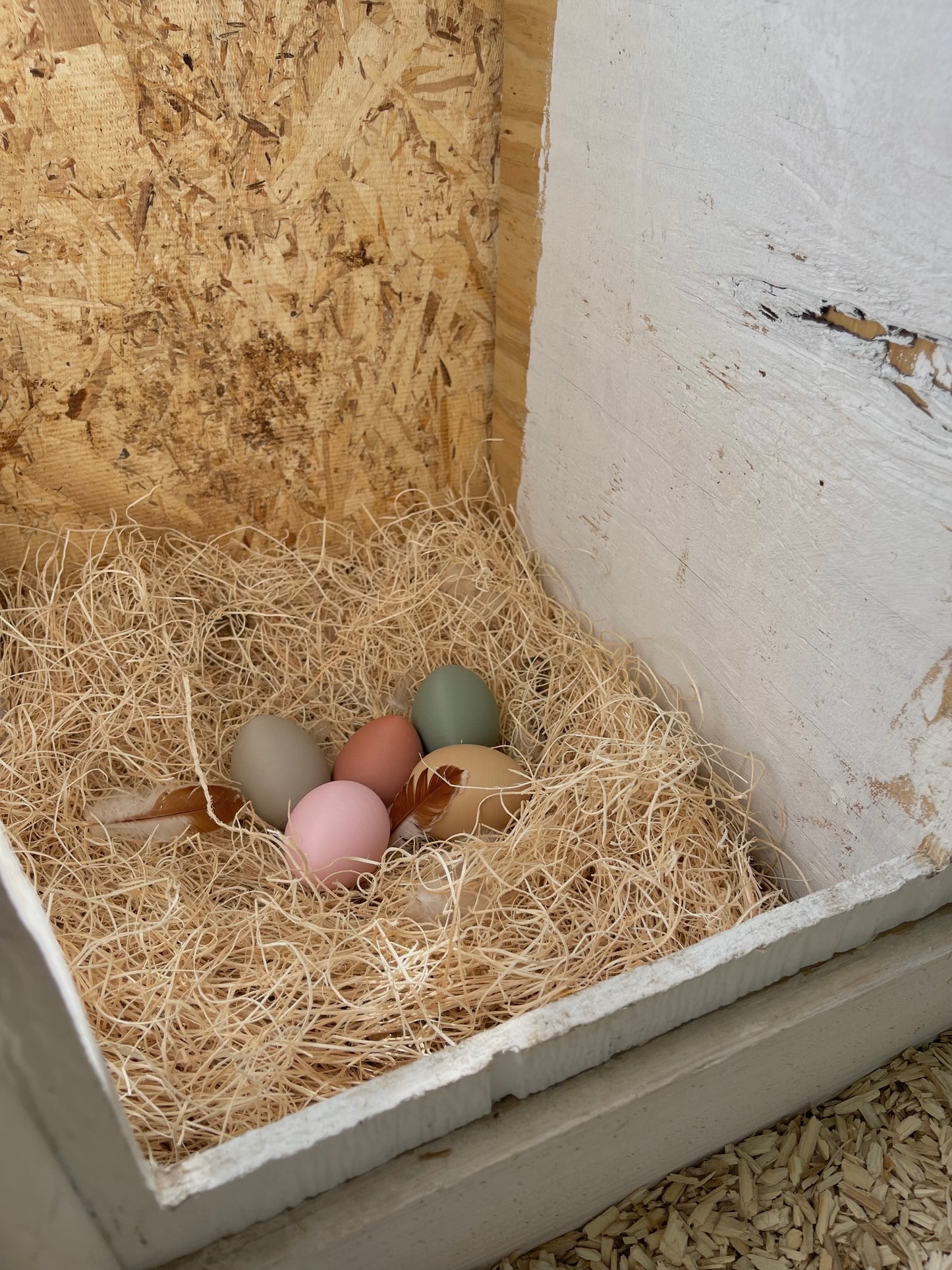 Nesting Box Fake Eggs