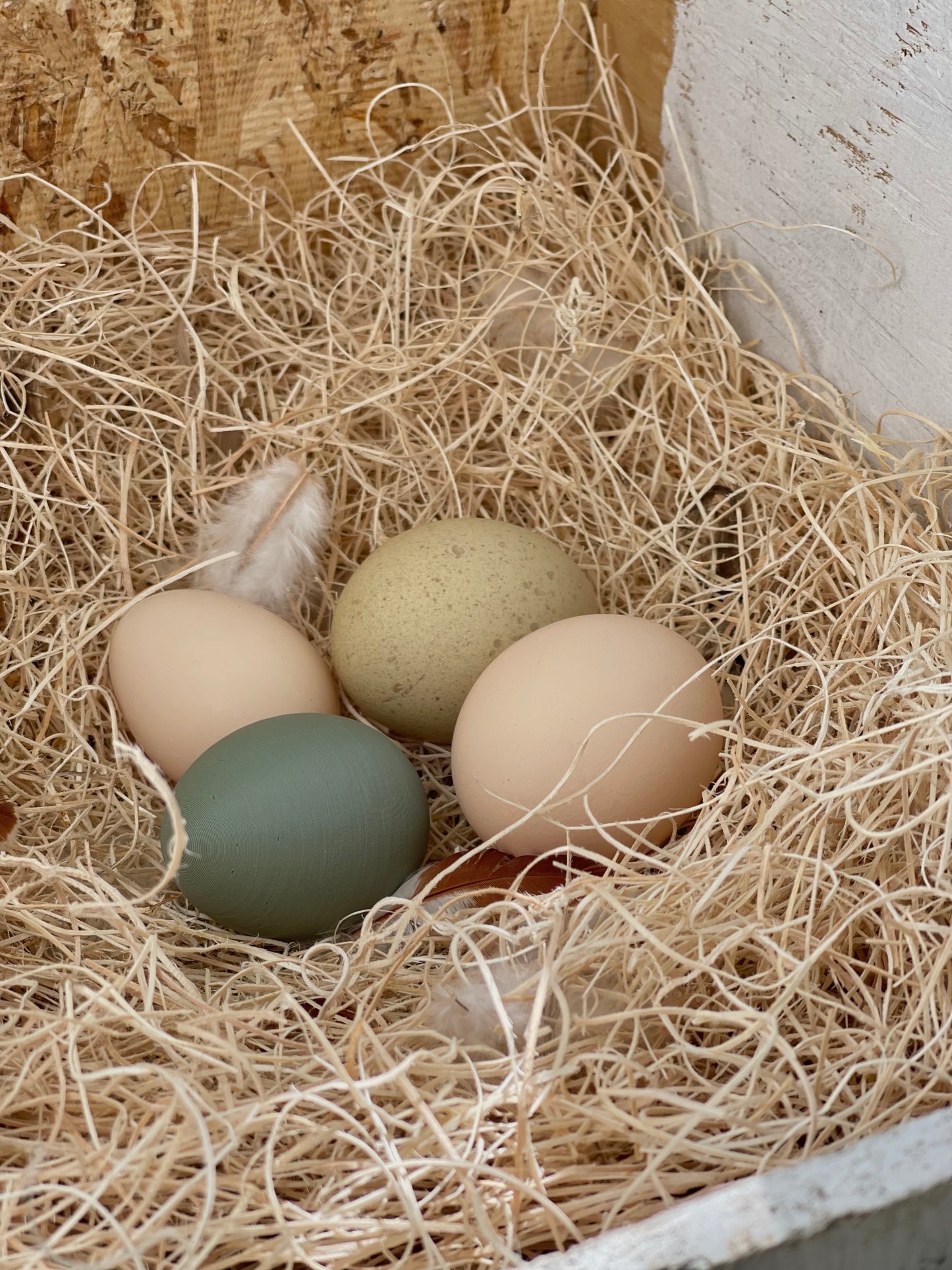 Nesting Box Fake Eggs