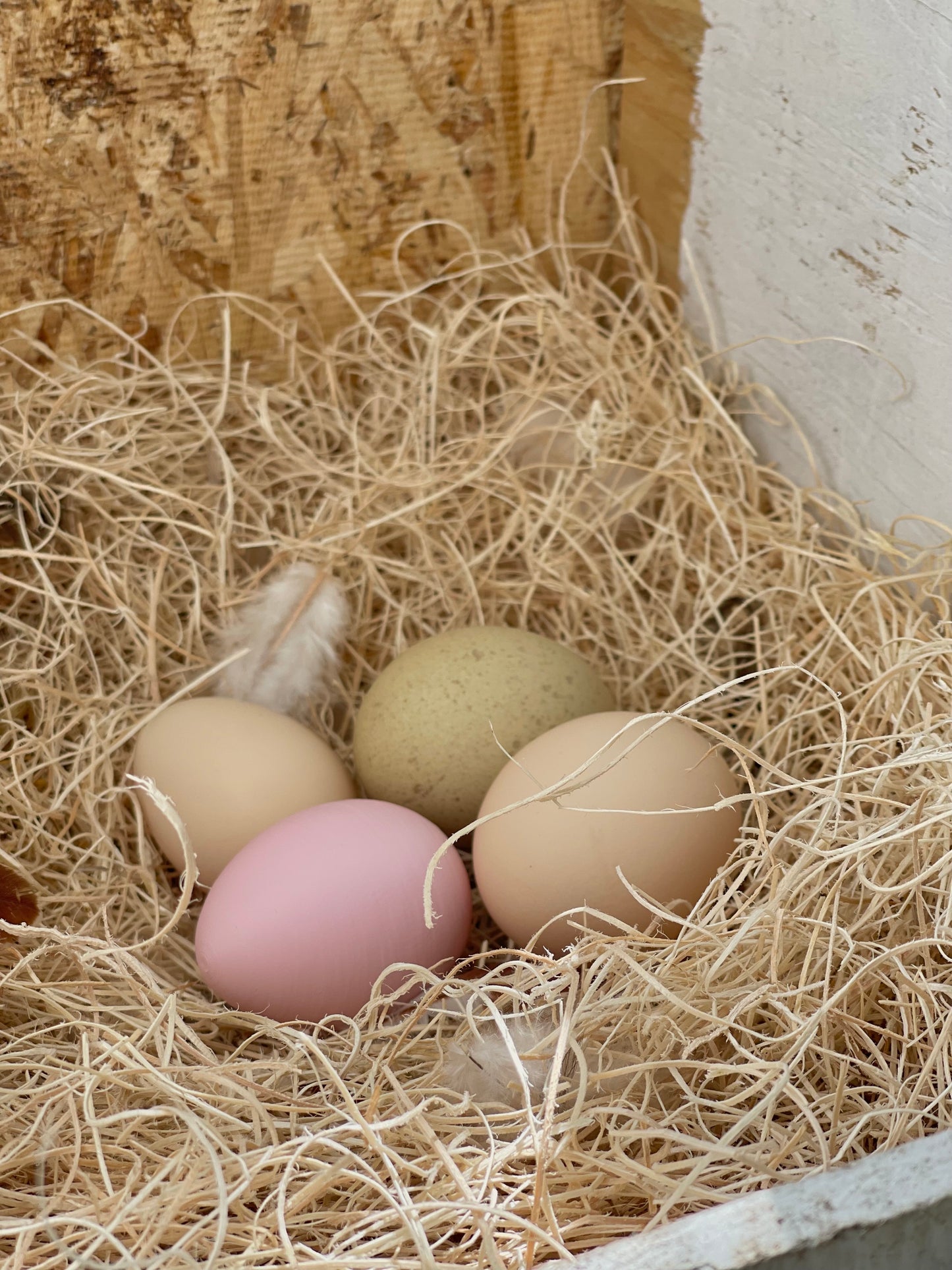 Nesting Box Fake Eggs