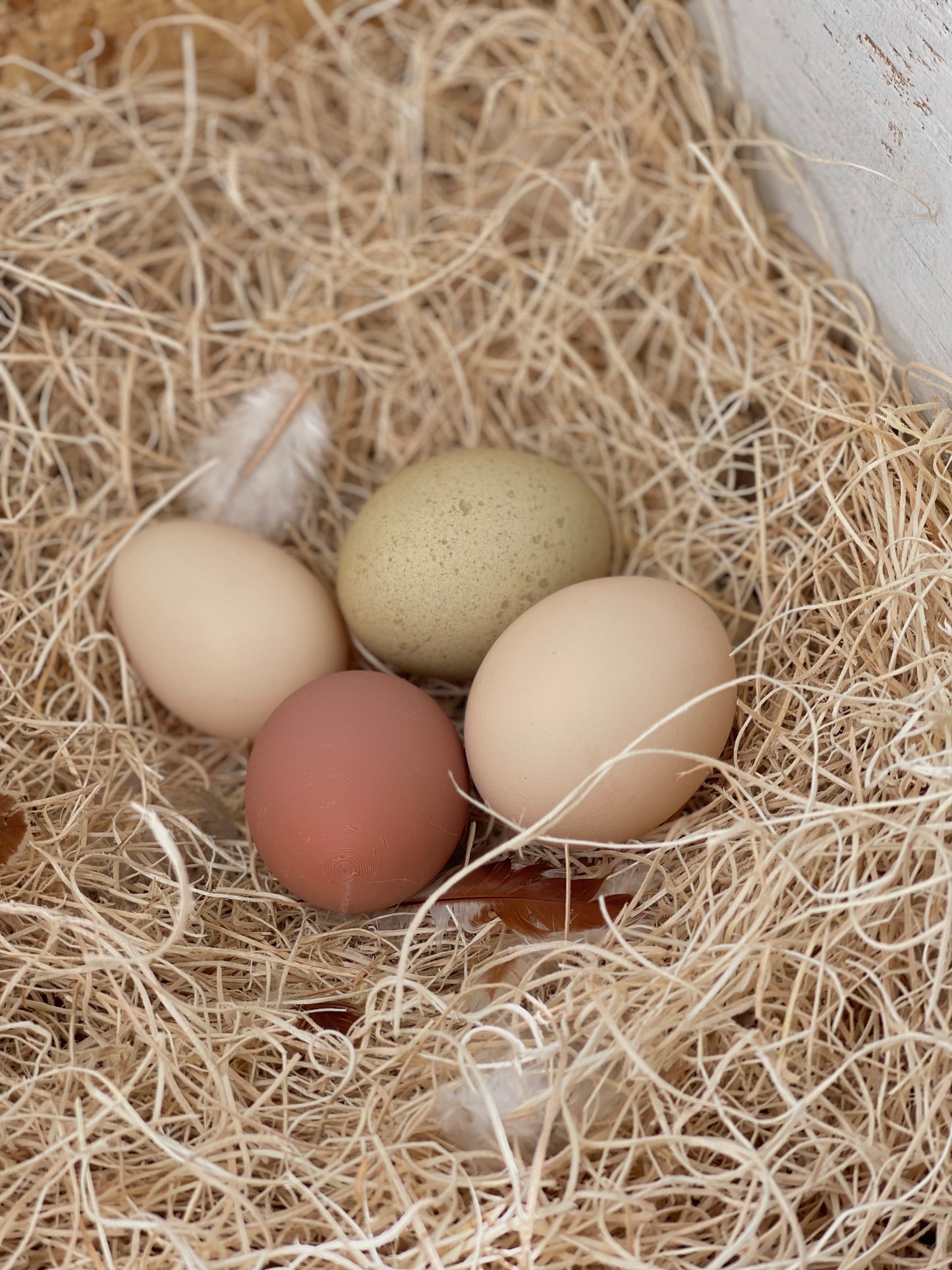 Nesting Box Fake Eggs