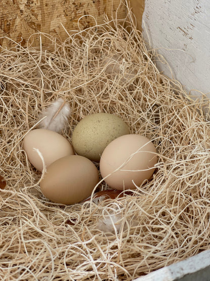 Nesting Box Fake Eggs