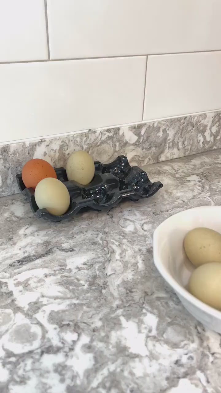 fresh egg holder counter｜TikTok Search