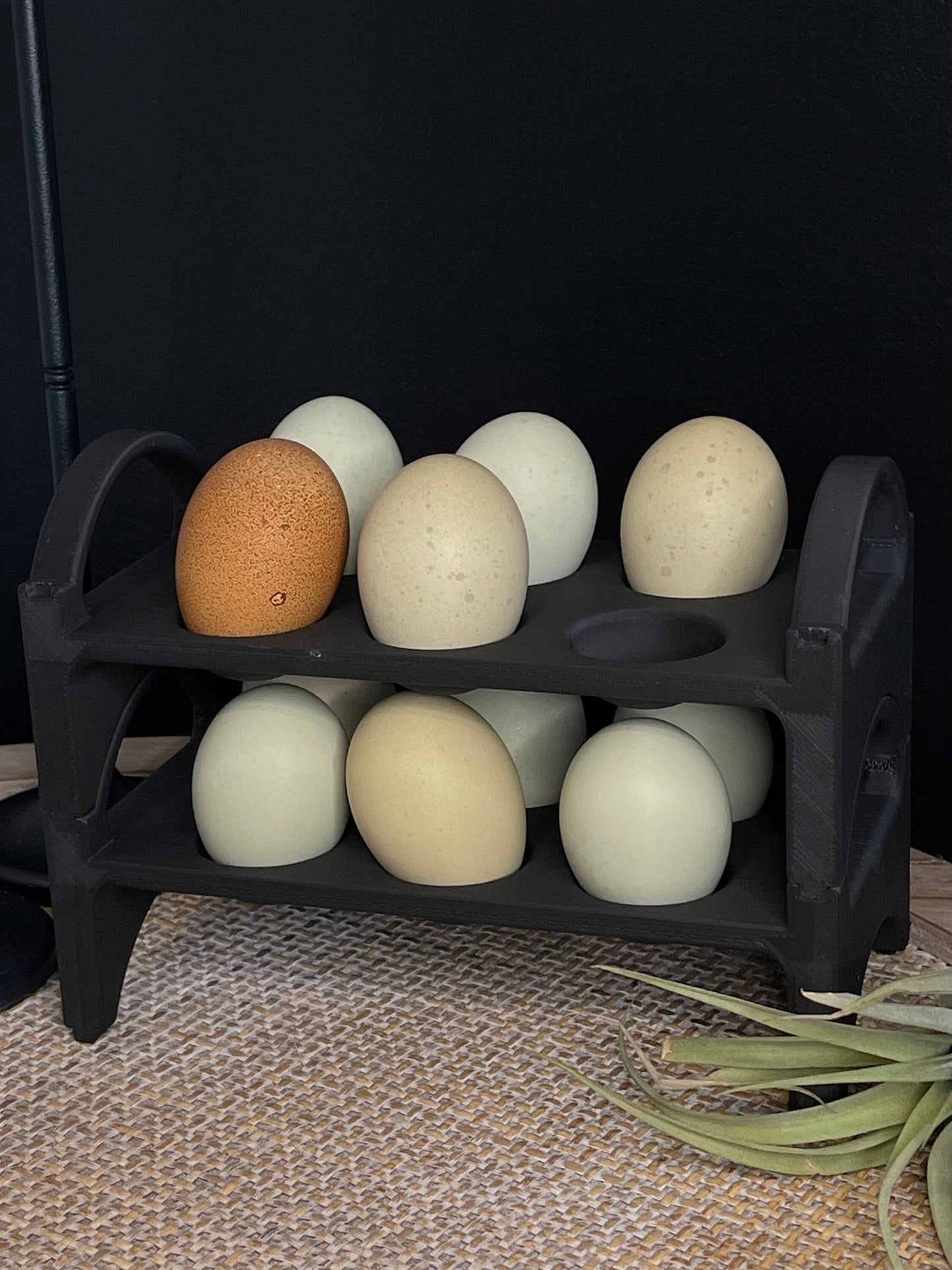 Stackable Egg Holder Countertop | Stackable Egg Tray | Farm Fresh Eggs | Chicken Egg Holder | Plant Based | Moody Black | Shatterproof